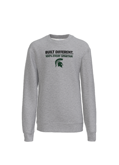 Gray sweatshirt with 