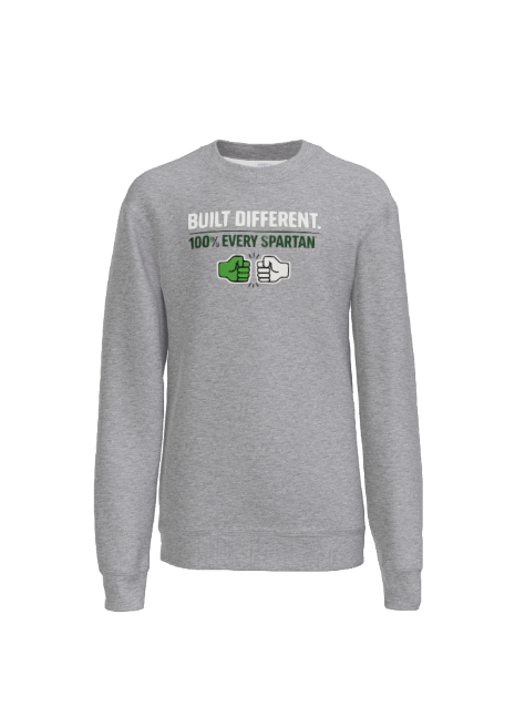 Gray sweatshirt with 