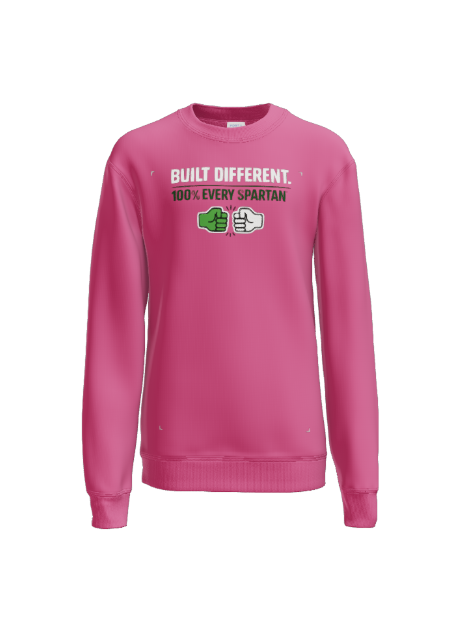 Gray sweatshirt with 