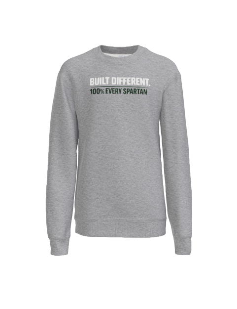 Gray sweatshirt with 