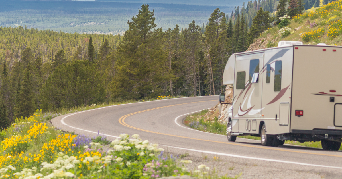 RV driving on a winding mountain road with trees and wildflowers.