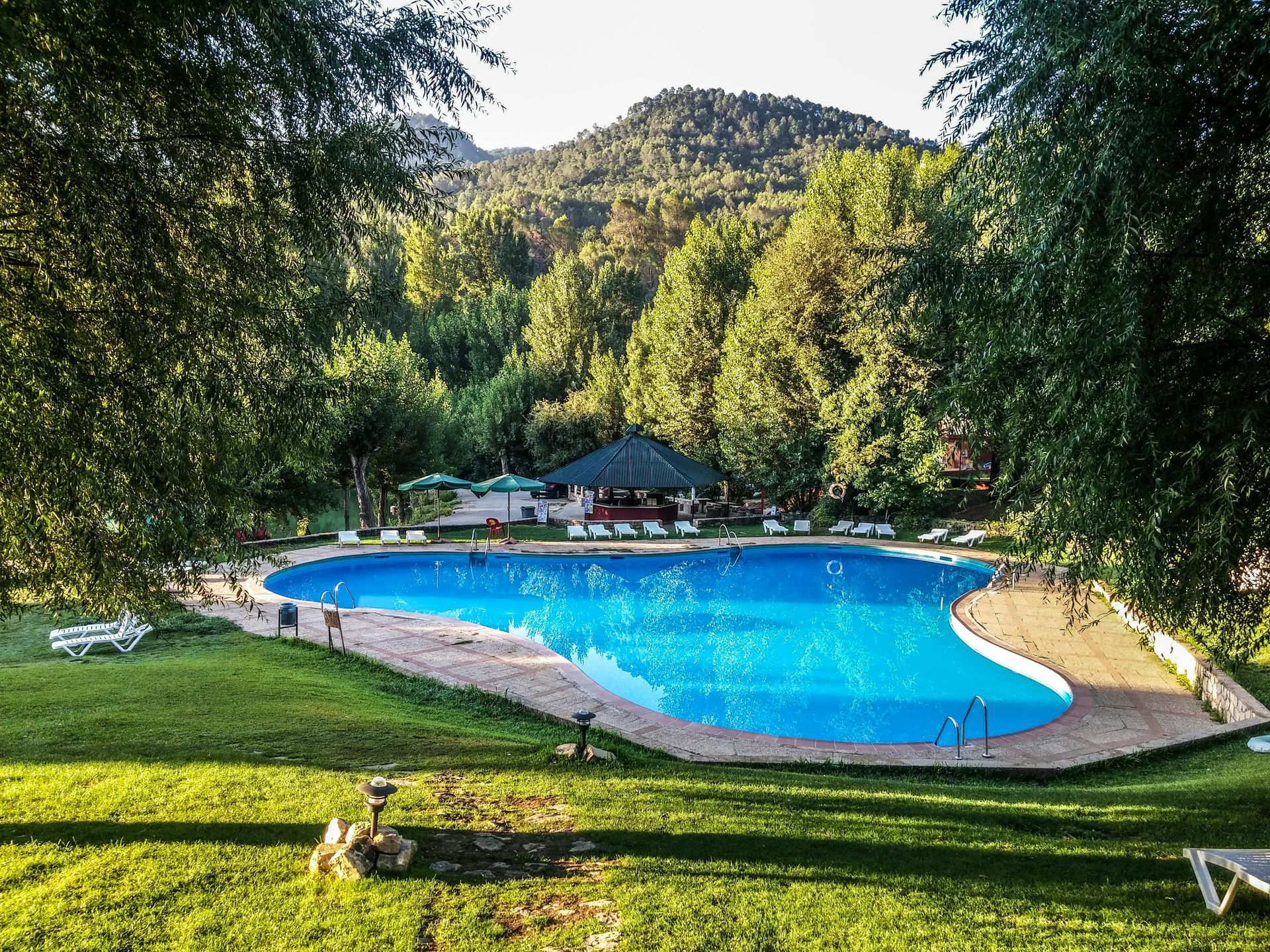 A large, blue swimming pool surrounded by green grass and trees, with a mountain in the background.