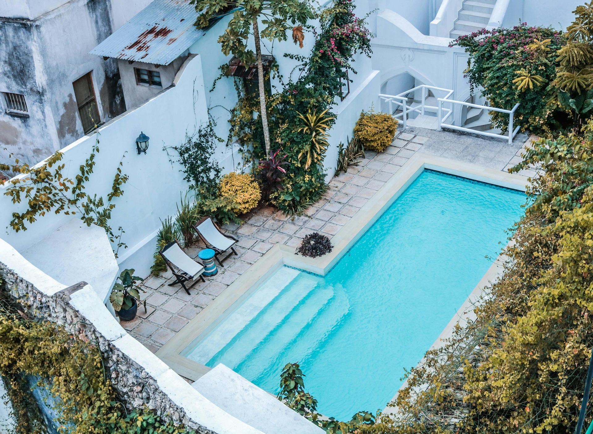 Pool in a white-walled courtyard, with lounge chairs and lush greenery. Steps lead into the blue water.