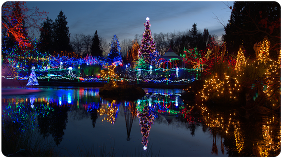 Park Christmas Lights — Nottingham, PA — Howell’s Lawn & Landscape LLC