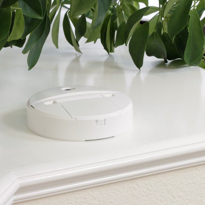 carbon monoxide alarm to keep safe during your holiday