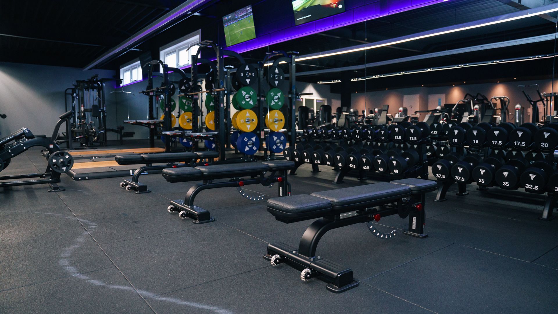 Modern gym with weight benches, dumbbells, and purple accent lighting