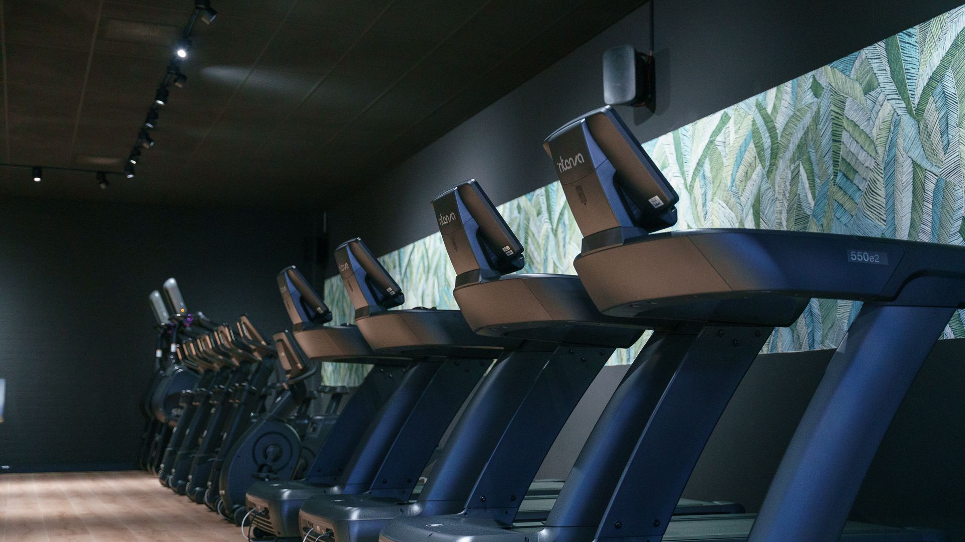 Row of treadmills in a dimly lit modern gym with screens and blue lighting