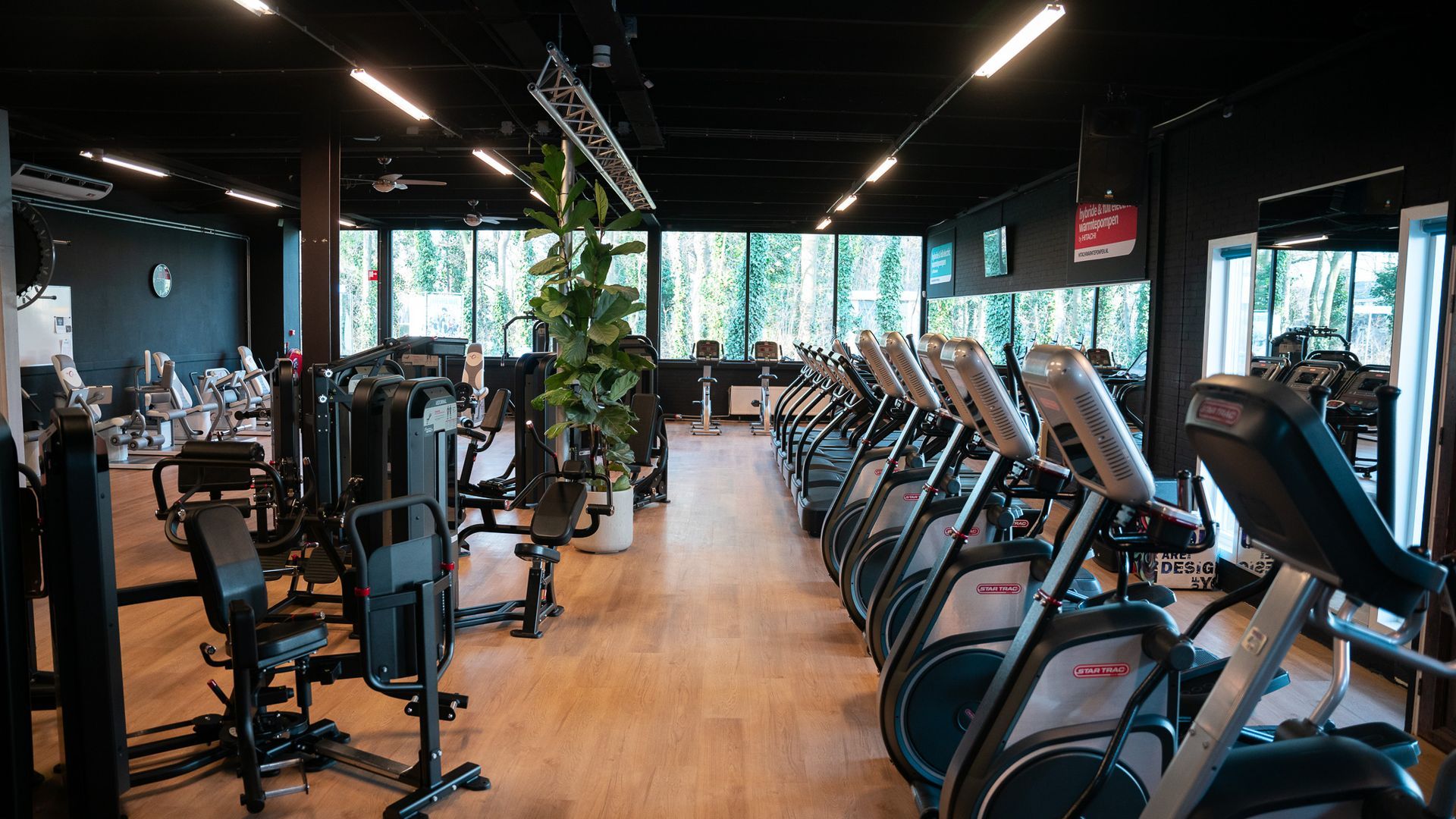 Modern gym interior with rows of treadmills, weight machines, and large windows letting in natural light