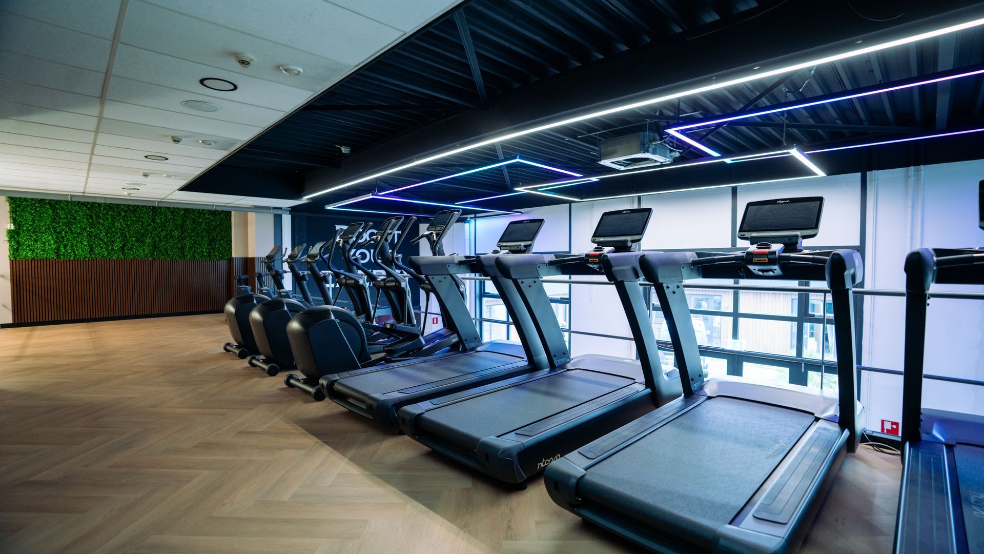 Modern gym with several treadmills along a wall of windows and purple LED lighting