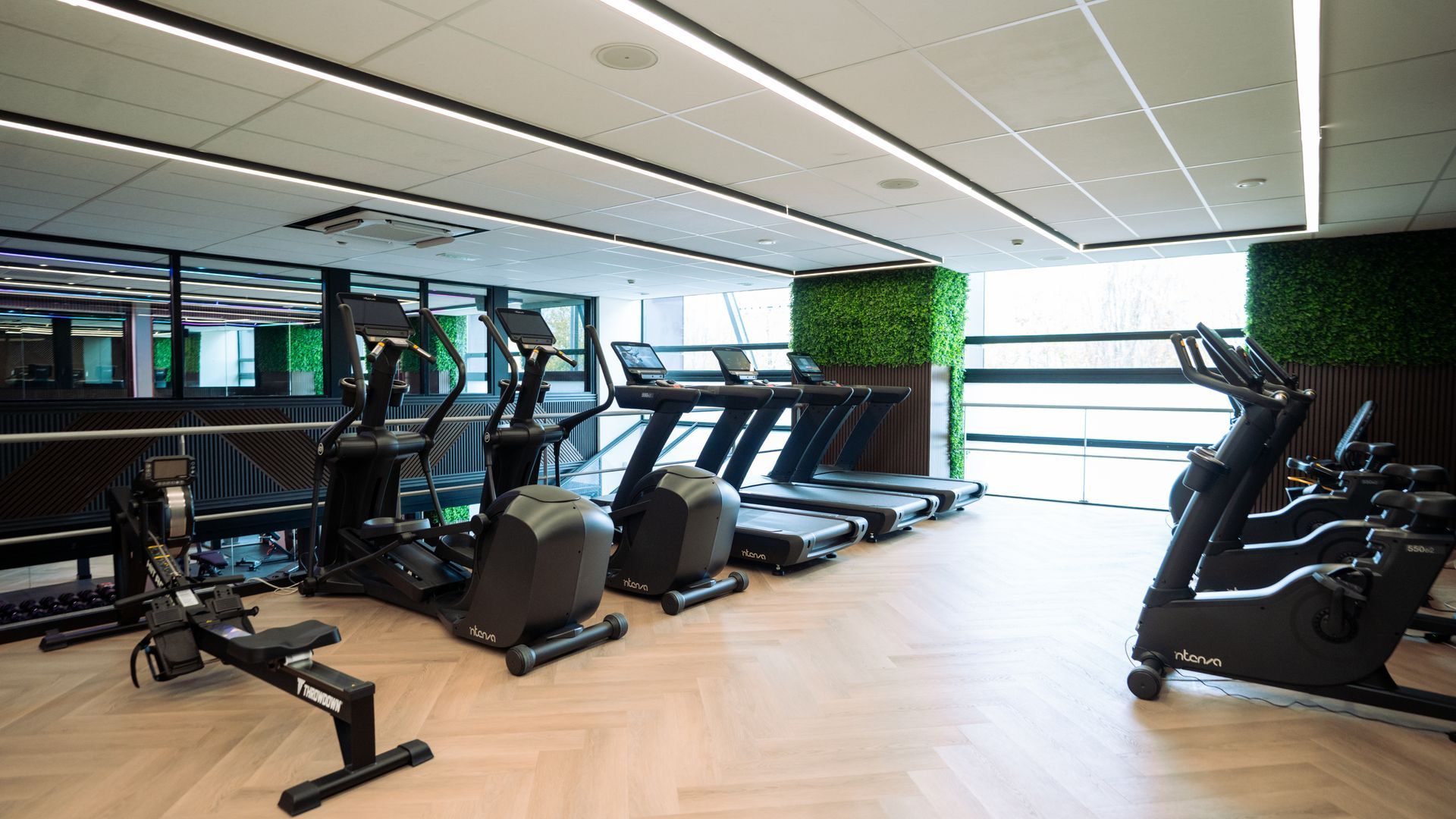 Modern gym with treadmills, ellipticals, and weight equipment on light wood flooring