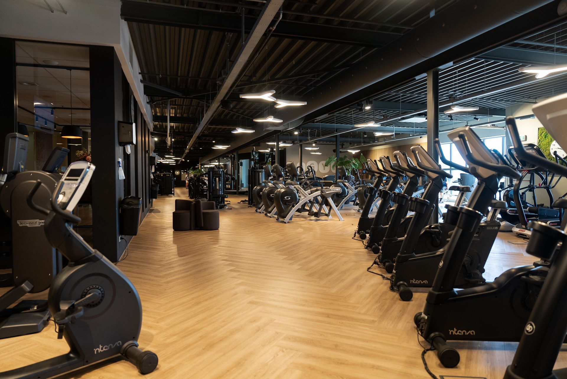 Modern gym interior with rows of treadmills and exercise bikes on a wood floor