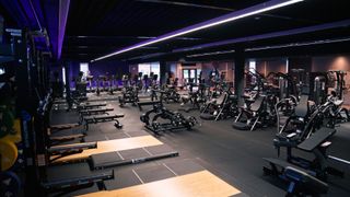 Modern gym interior with rows of exercise bikes and weight benches under purple lighting