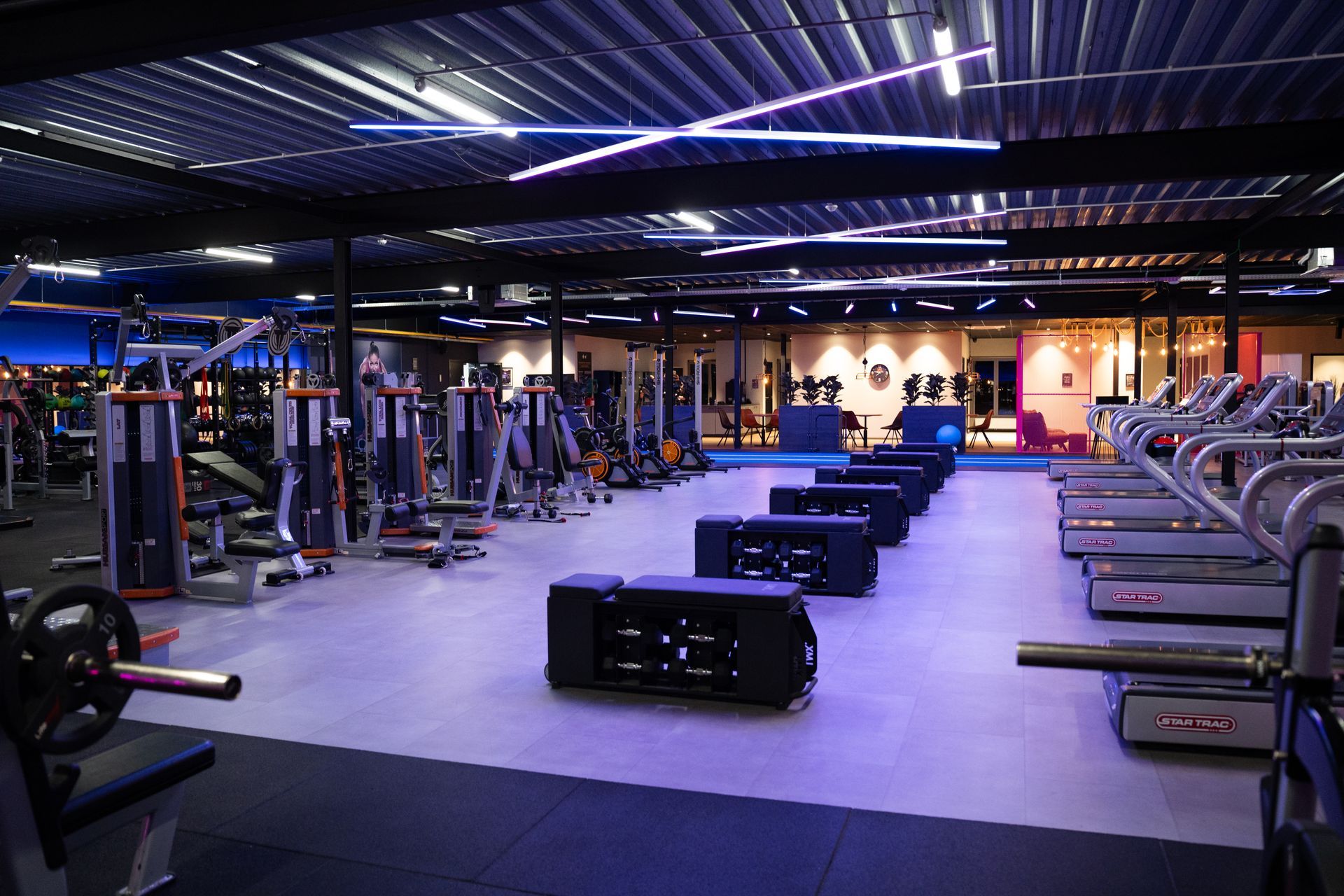 Modern gym interior with exercise machines, benches, and dumbbells under bright blue lighting