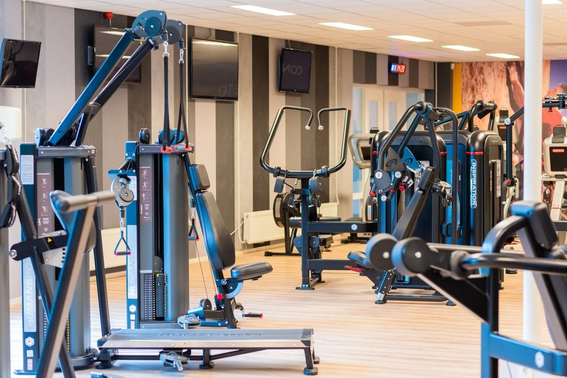 Gym interior with blue exercise machines and mirrors on a light wood floor