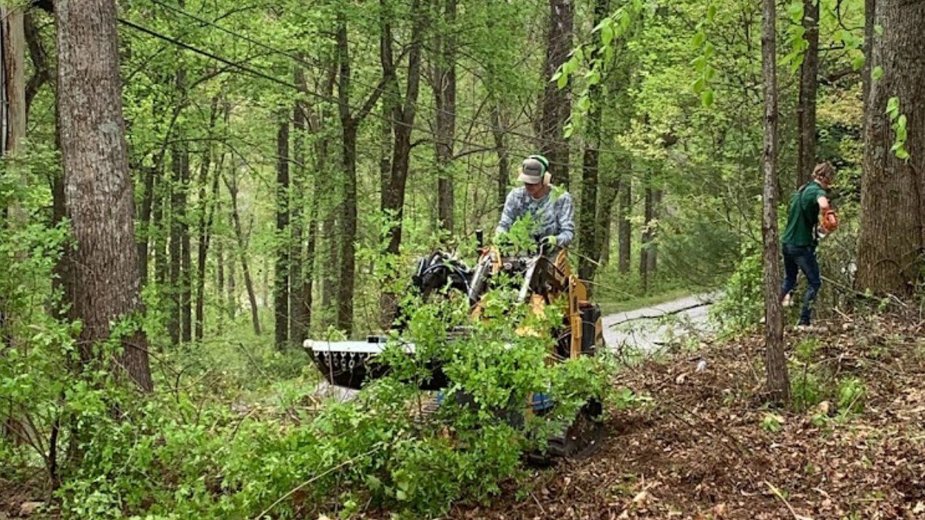 bush hog clearing brush from property