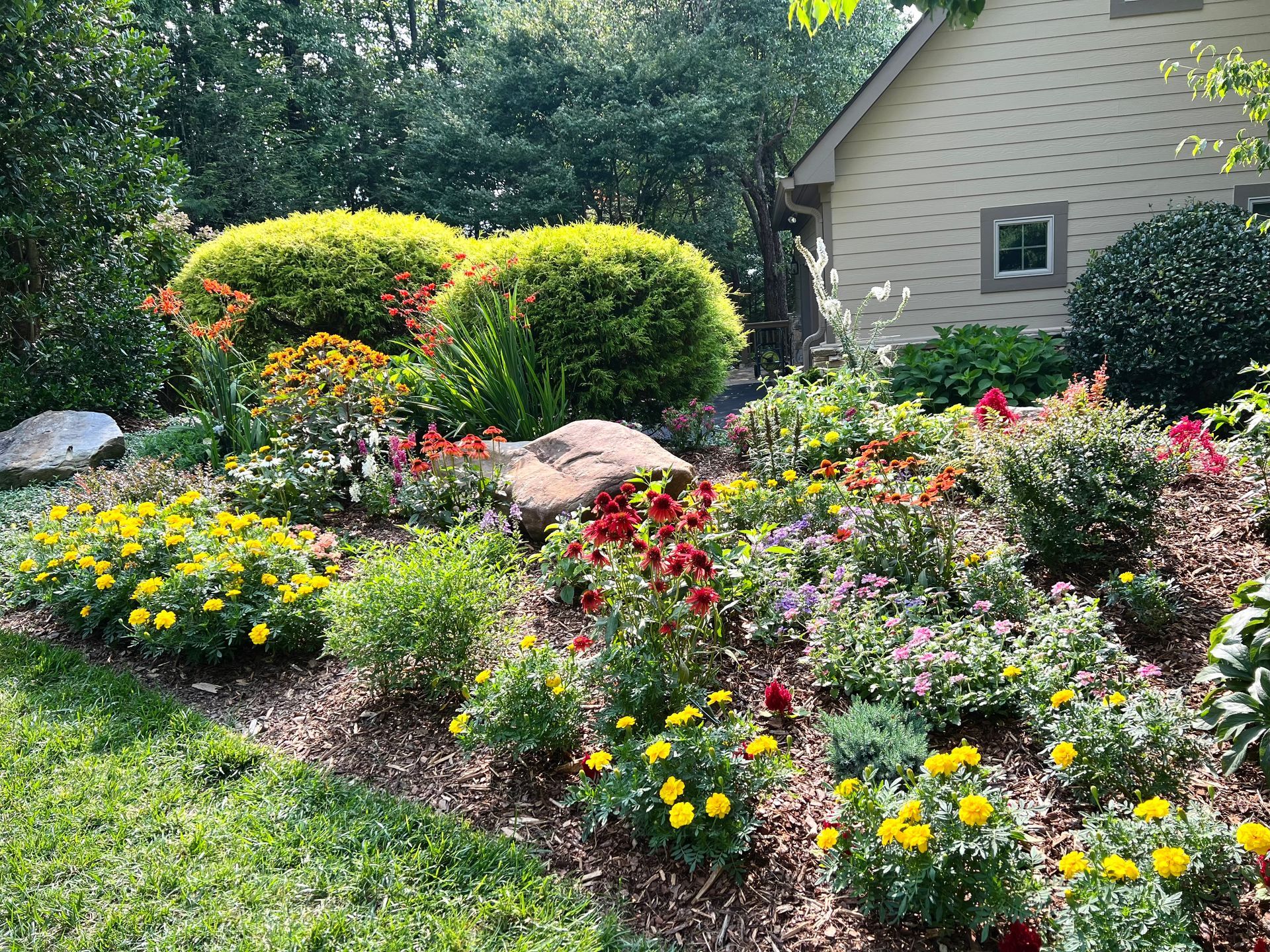 Customer photo of completed landscape growing
