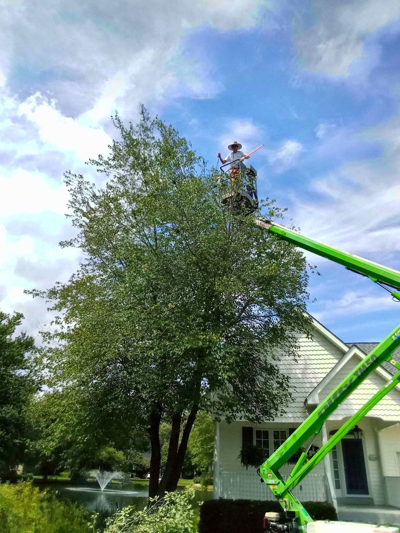 tree cutting by man on aerial platform