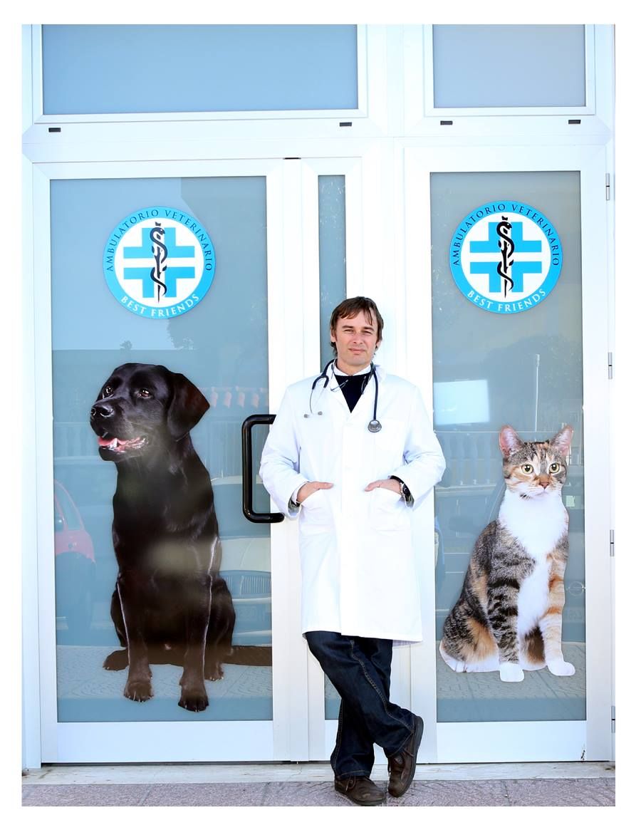 ambulatorio veterinario