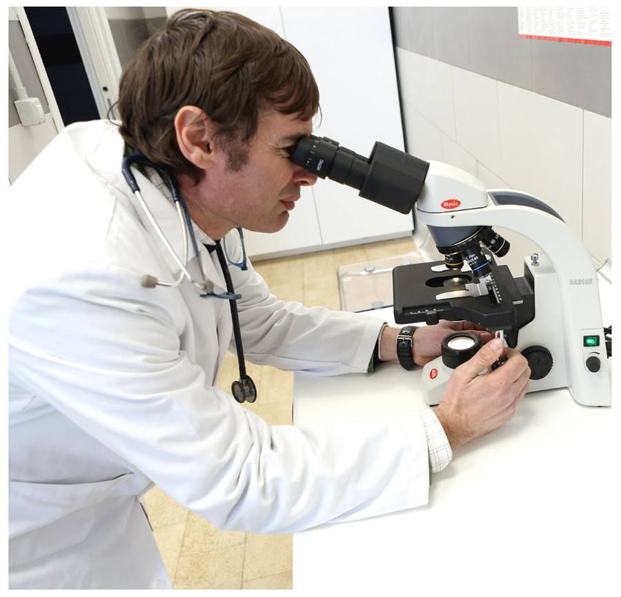 laboratorio veterinario