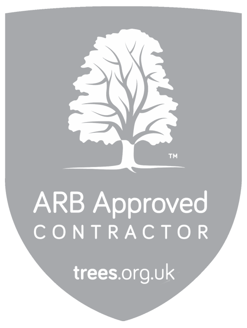 The tree management company are an arb approved contractor