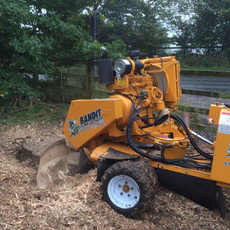 Using our stump grinder to remove an unwanted stump from the garden