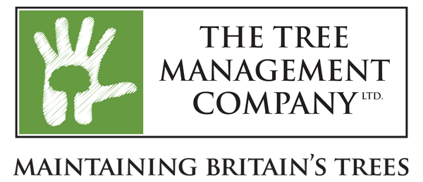 The Tree Management Company Logo Links to Homepage