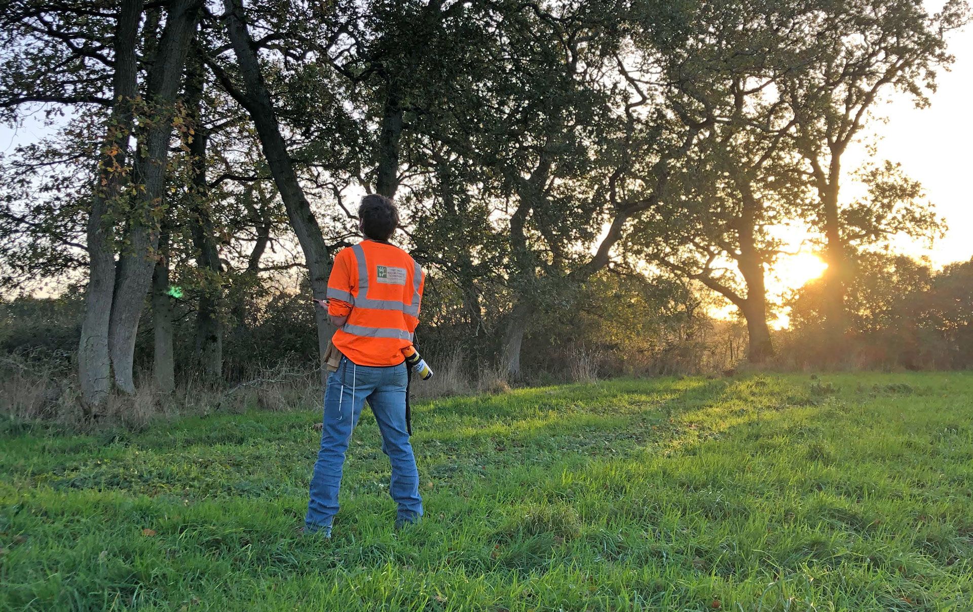 the tree management company OFFER TREE SAFETY SURVEYS in dorset and hampshire