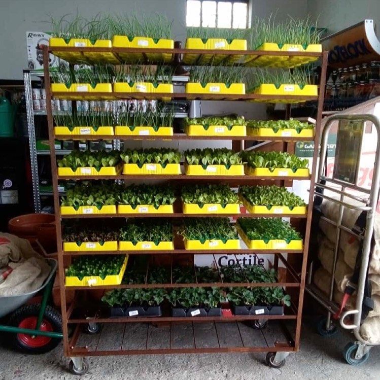 Legnami Fratelli Bellezza Oddon