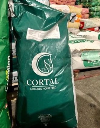 pulizia di boschi e parchi