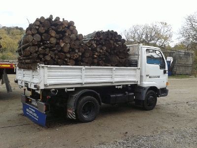 trasporto legno da ardere