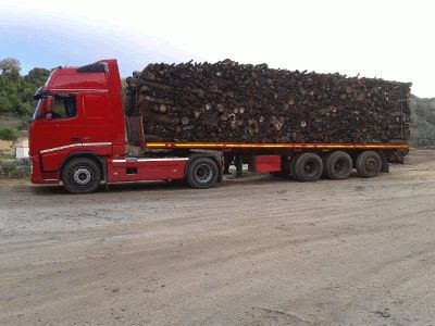 trasporto di legna