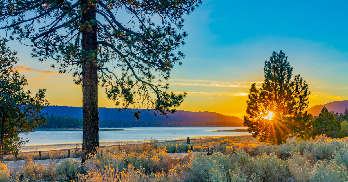 The sun is setting over Big Bear Lake with trees in the foreground.