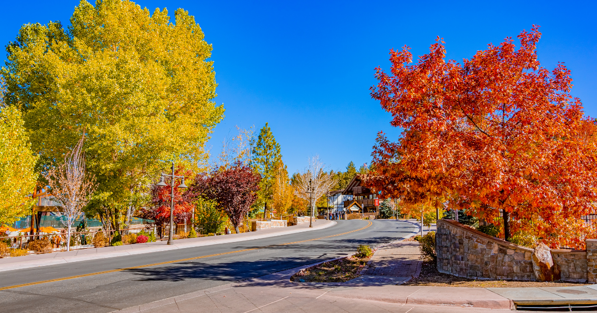 Fall Colors in the Village in Big Bear Lake