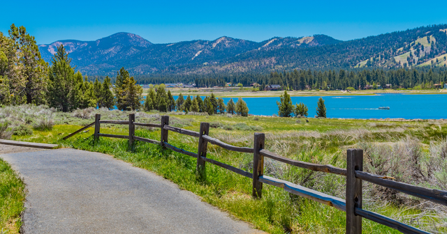 Hiking in big bear with dogs sale