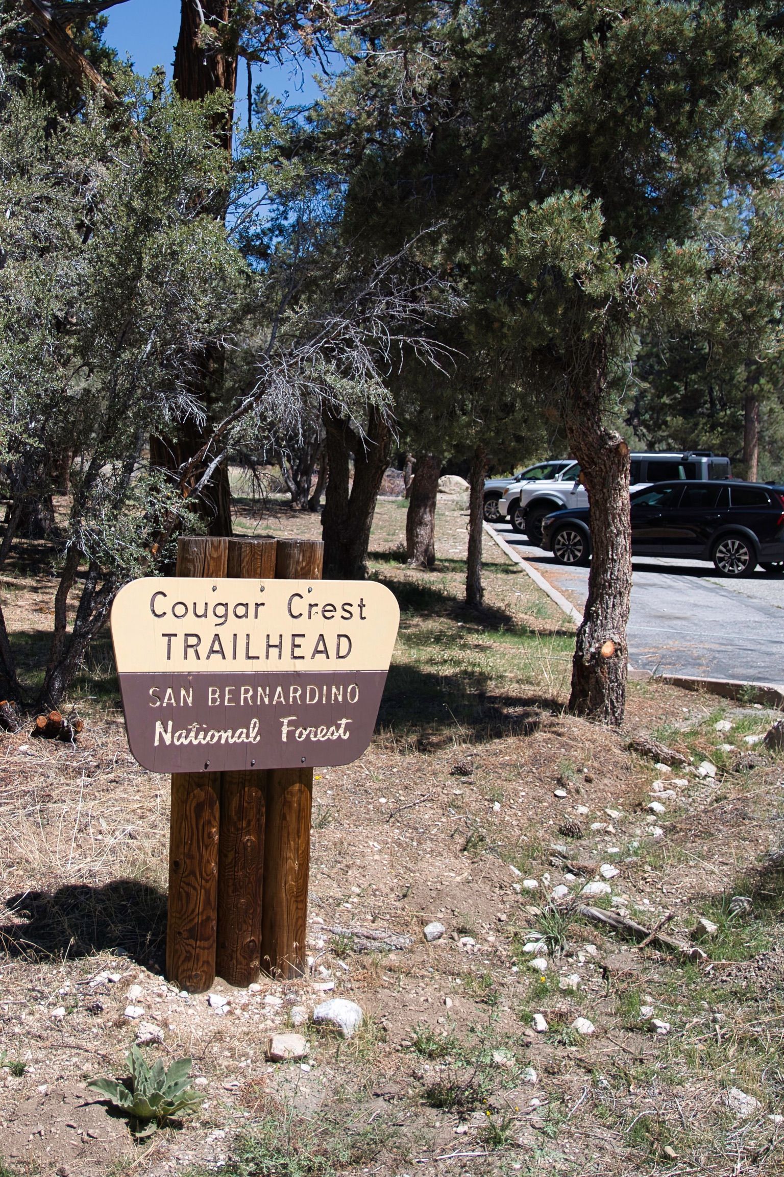 a sign for the cougar crest trailhead is sitting in the middle of a field .