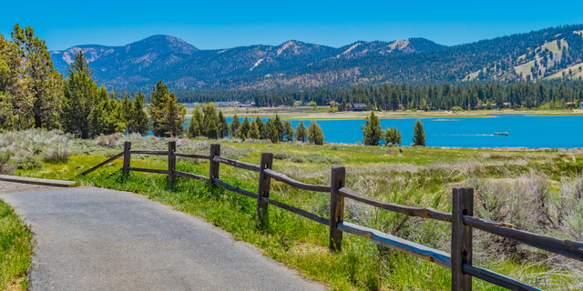 Big bear hikes with dogs hotsell