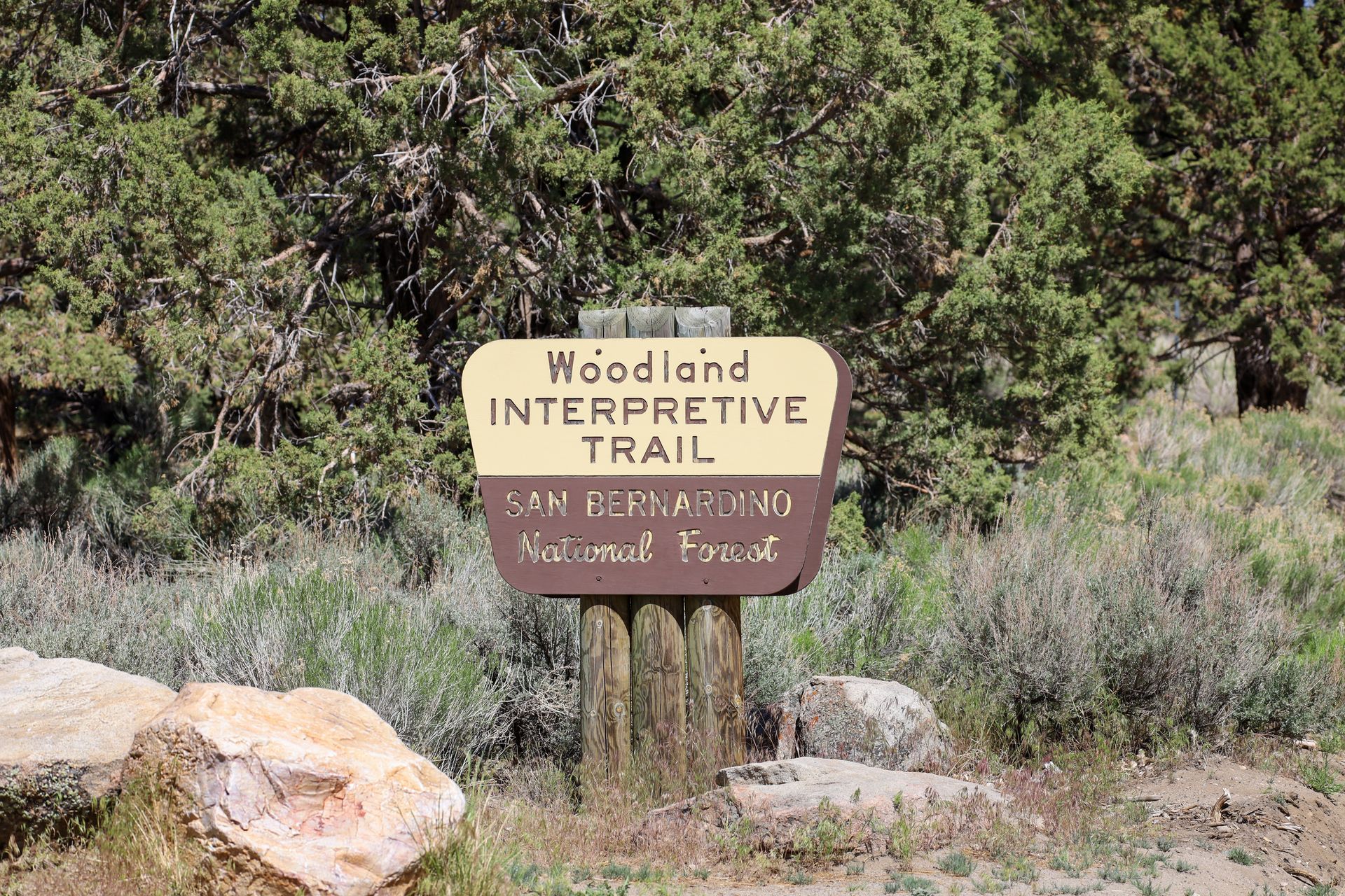 Trailhead sign for the woodland interpretive trail in Big Bear Lake