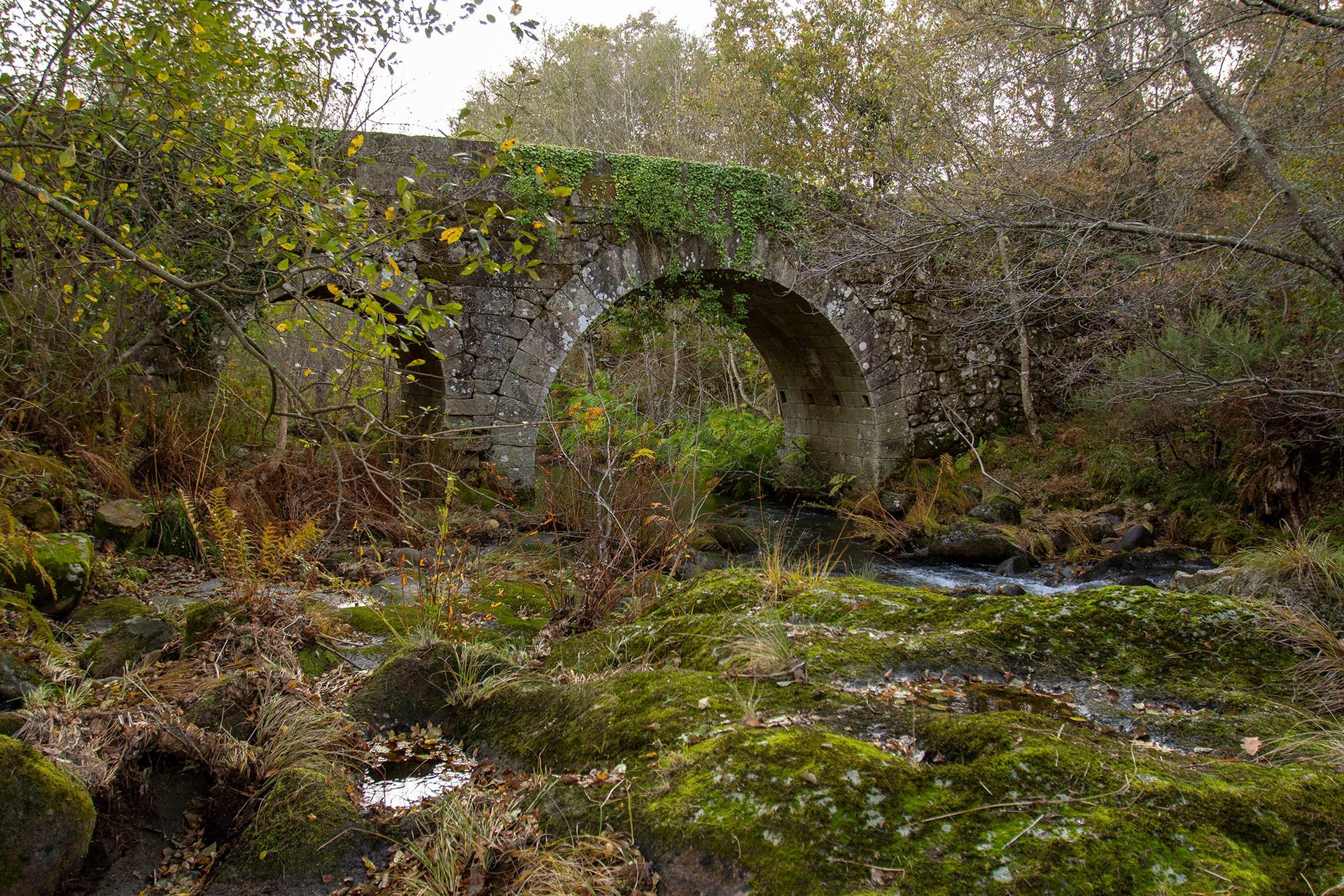 ponte romana sobre o rio lourêdo em ribeira de pena