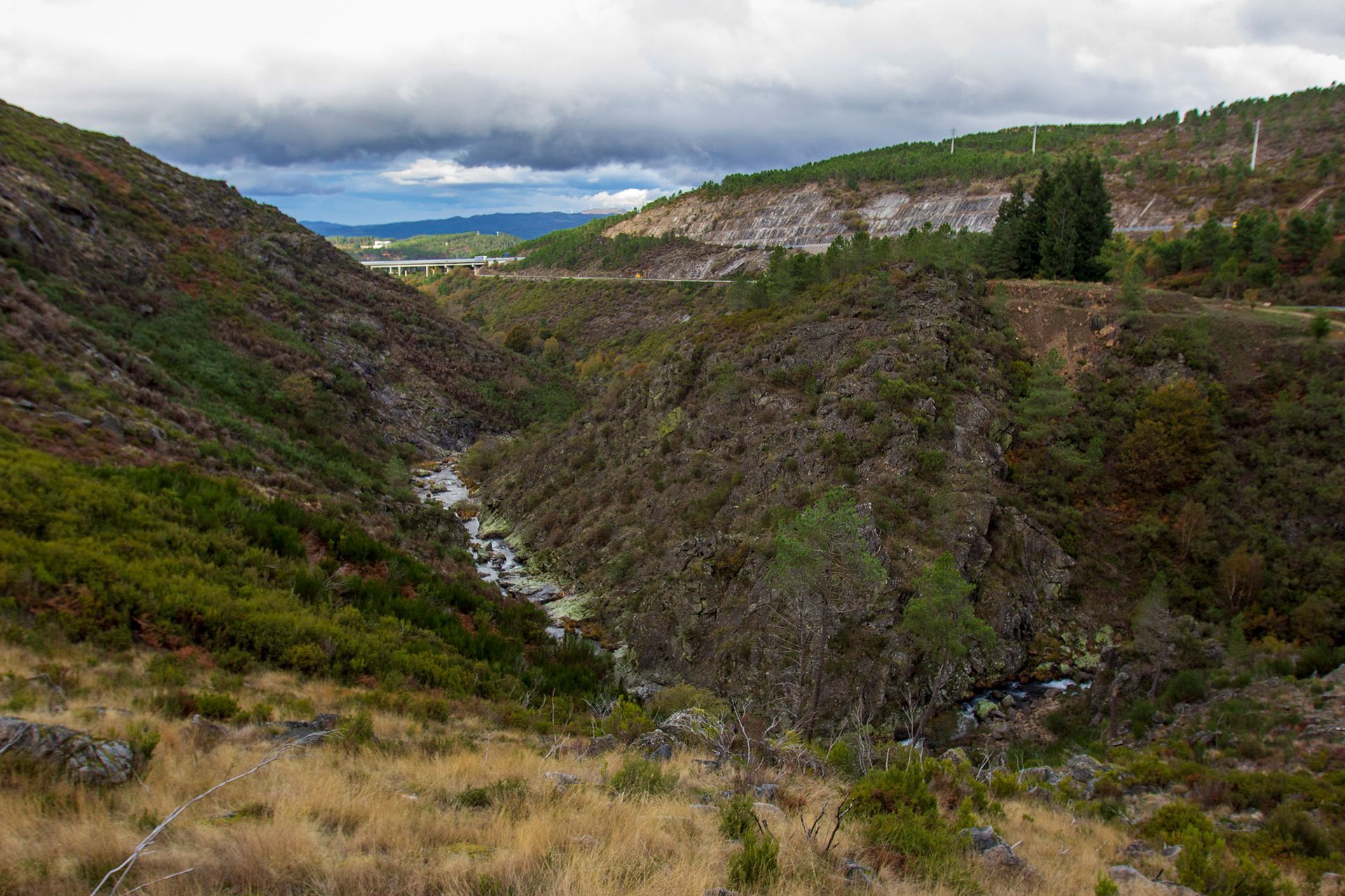 Image de la vallée du Lourêdo à Ribeira de Pena avec la rivière Lourêdo serpentant sur les pentes de