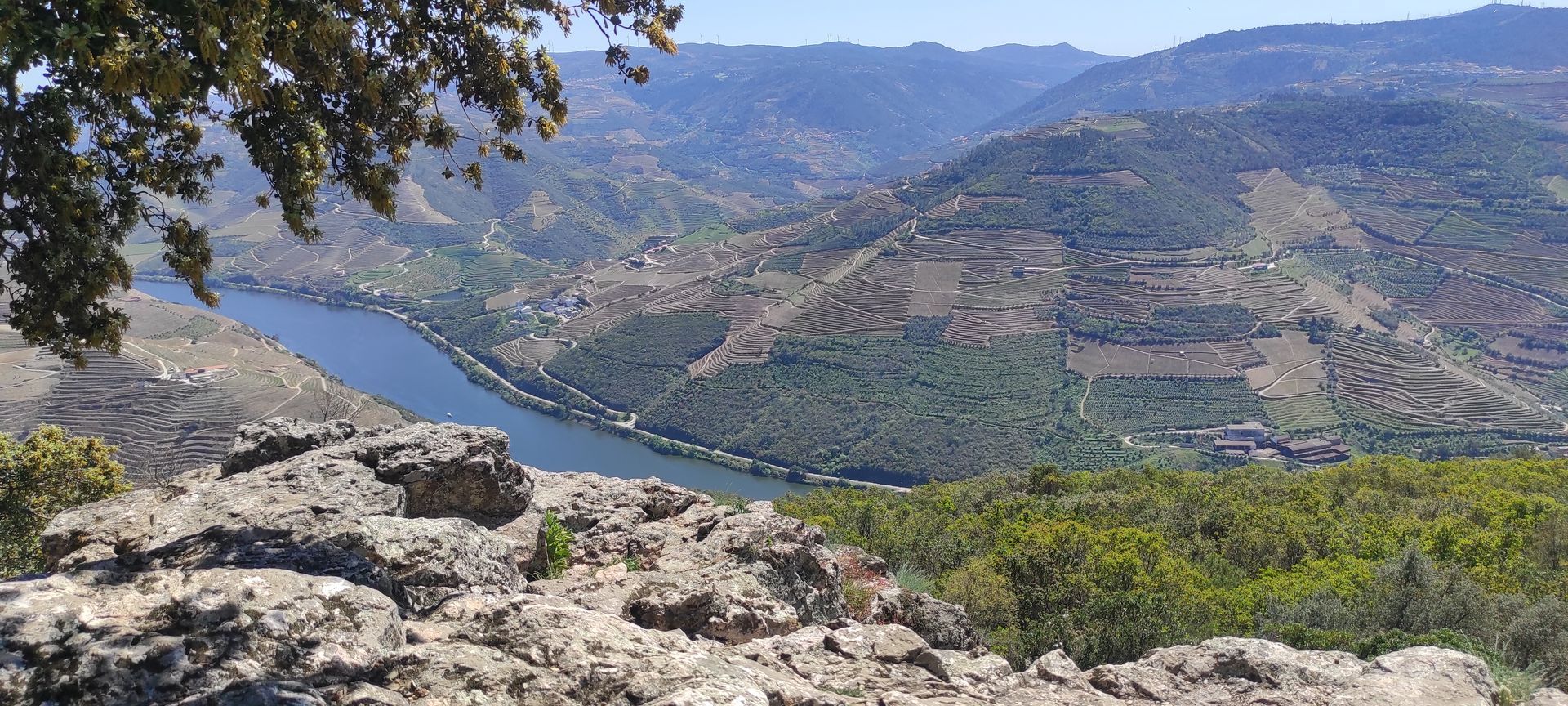 Rio Douro e os vinhedos no Alto Douro Vinhateiro