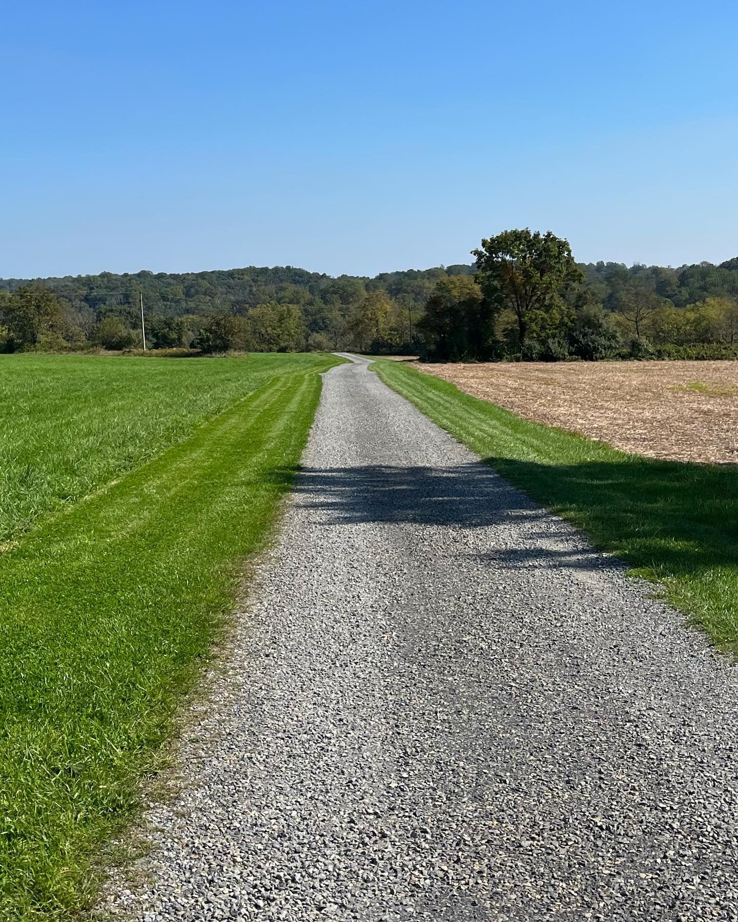 A gravel road going through a grassy field