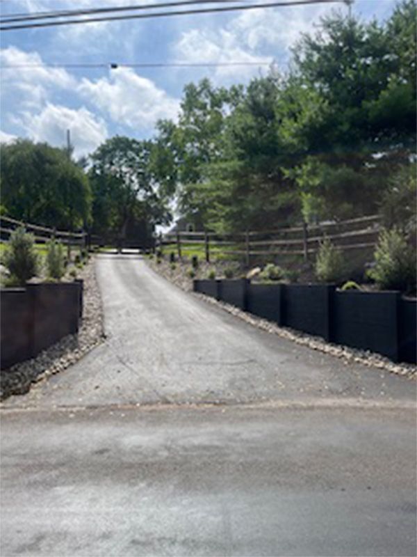 A road going up a hill with trees on both sides