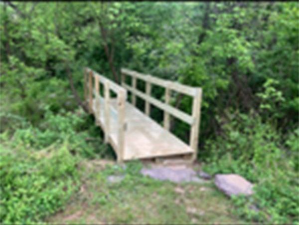 A wooden bridge is in the middle of a forest.