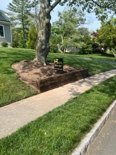 A tree is sitting in the middle of a lush green lawn next to a sidewalk.