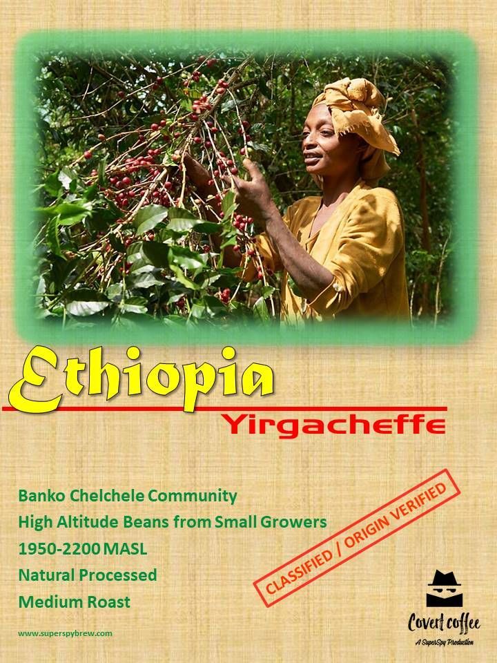 Ethiopian Yirgacheffe Natural GR. 1