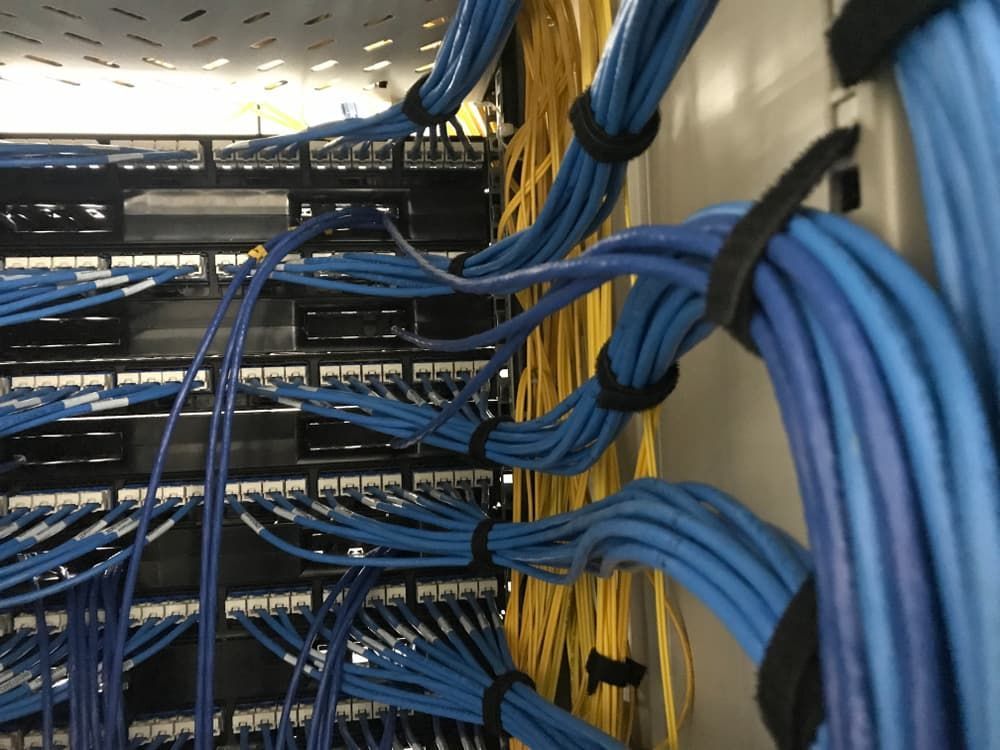 Rows of blue cables are coming from sockets in a wall, organised into groups.