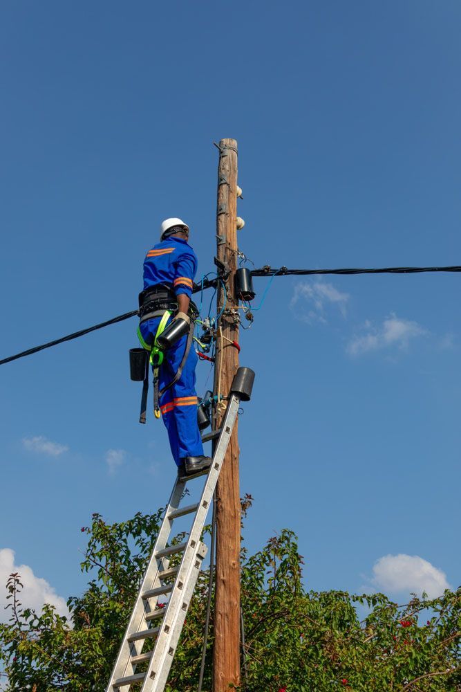 Man on a Ladder on Top of a Power Pole - Rural Electrician in Tamworth, NSW