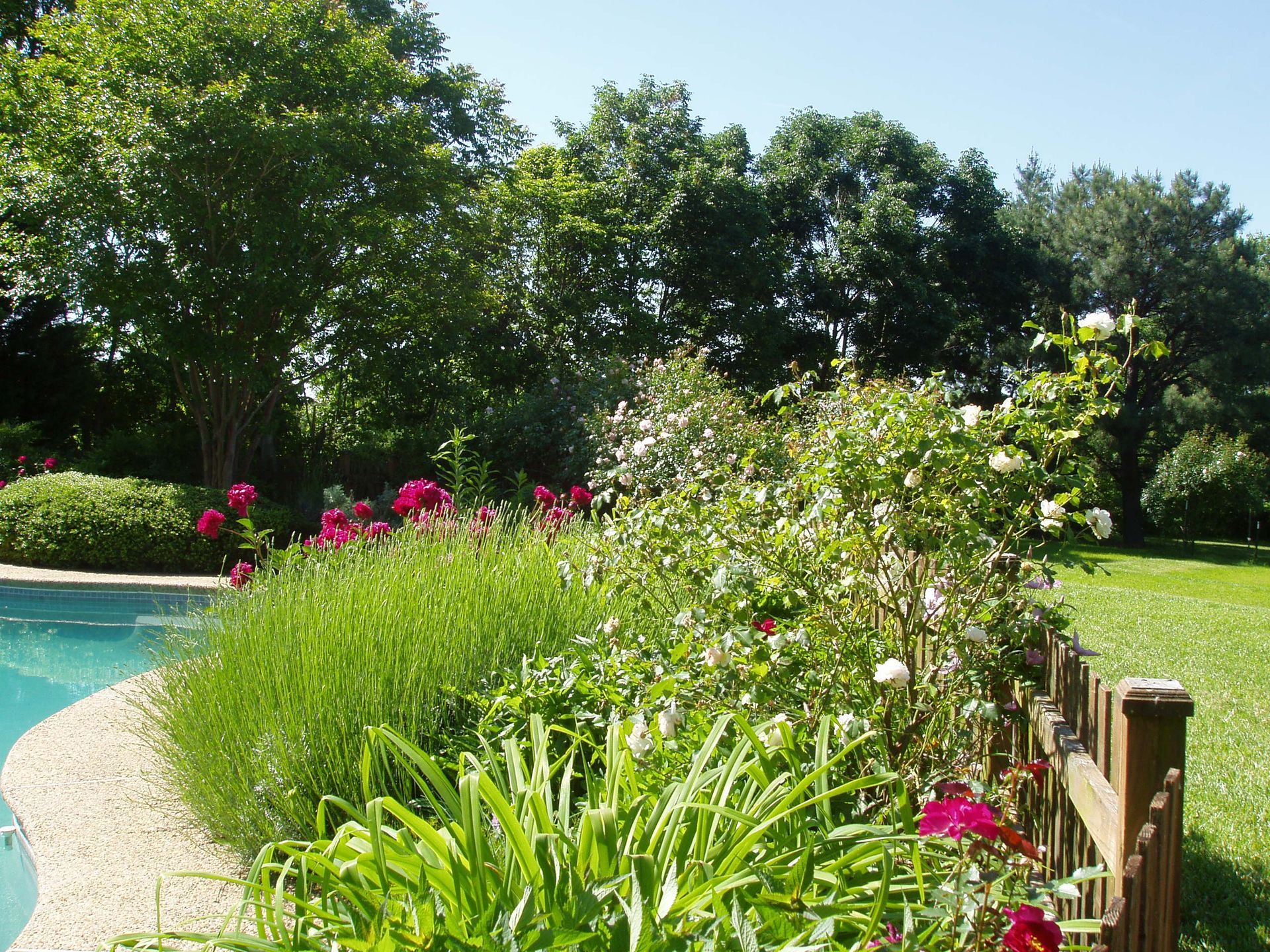 A fence surrounds a swimming pool surrounded by flowers