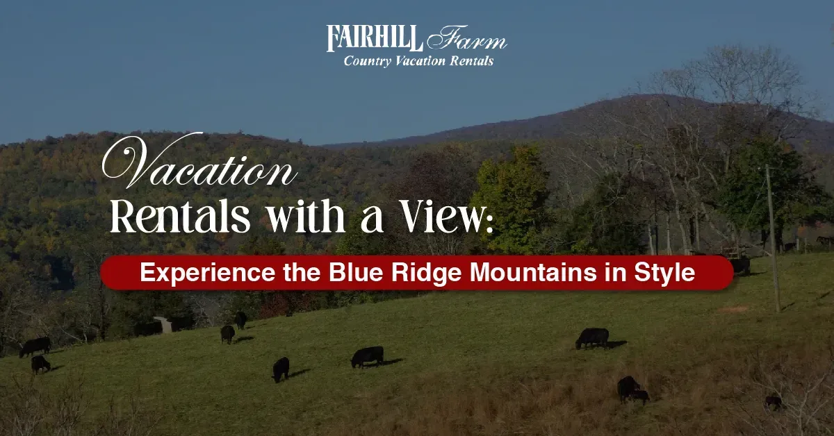 Vacation Rentals
