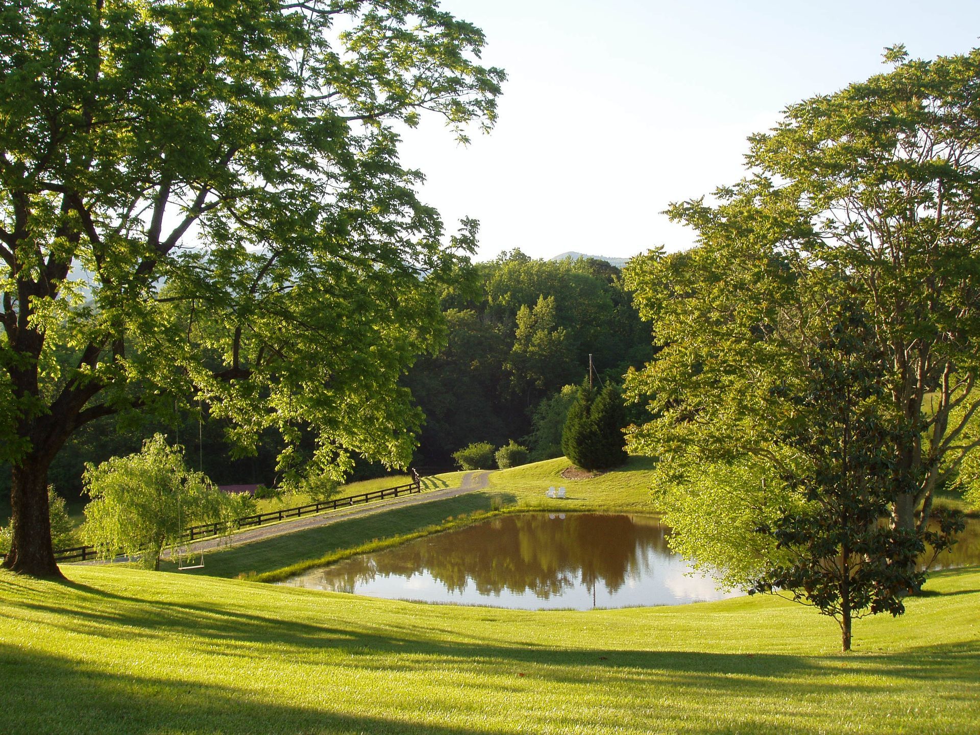 A small pond in the middle of a grassy field
